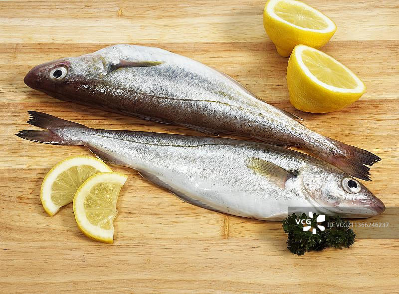 鳕鱼，柠檬鳕鱼和其它鱼类图片素材