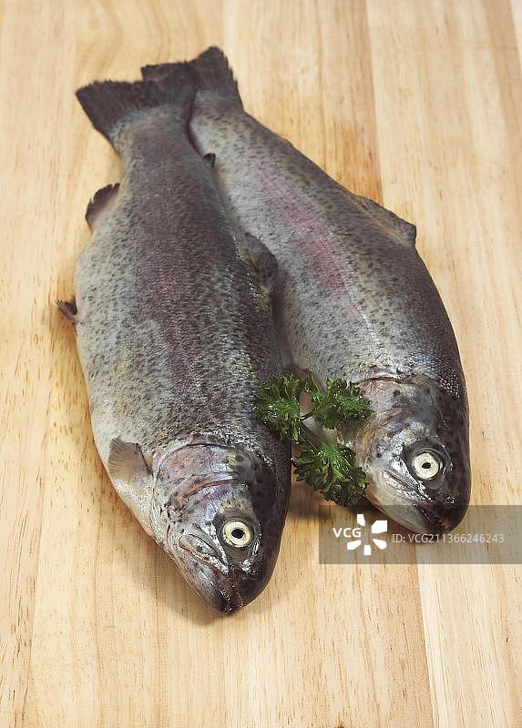 虹鳟鱼图片素材