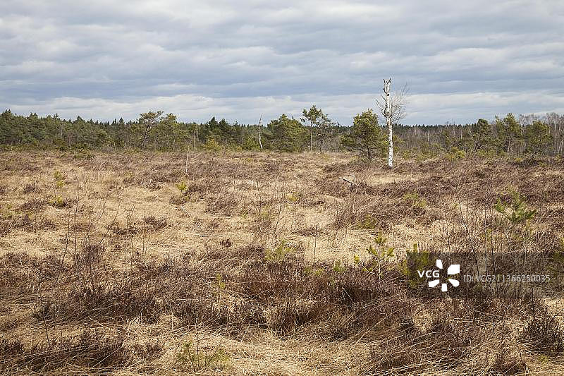 德国巴伐利亚州上巴伐利亚巴特费尔恩巴赫的荒原图片素材