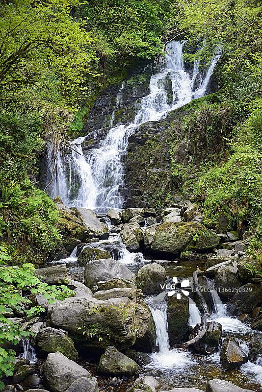 托克瀑布，基拉尼国家公园，爱尔兰，欧洲图片素材