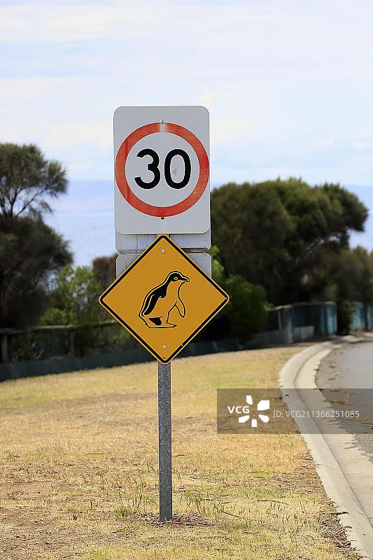 交通标志：企鹅，小企鹅，袋鼠岛，南澳大利亚州，澳大利亚，大洋洲图片素材