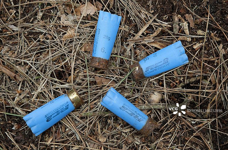 英国诺福克郡林地中的废猎枪弹壳图片素材