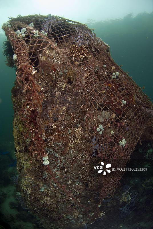印度尼西亚阿洛岛卡拉巴希湾：珊瑚礁岩上的渔网图片素材