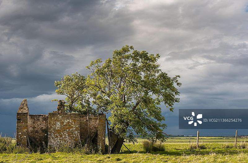 沿海沼泽栖息地的废墟和树木，远处有雨云，英国肯特郡谢佩岛图片素材