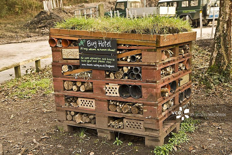 昆虫旅馆：用木制托盘为无脊椎动物建造的人工场所，位于英国多塞特-汉普郡边界的沼泽谷图片素材