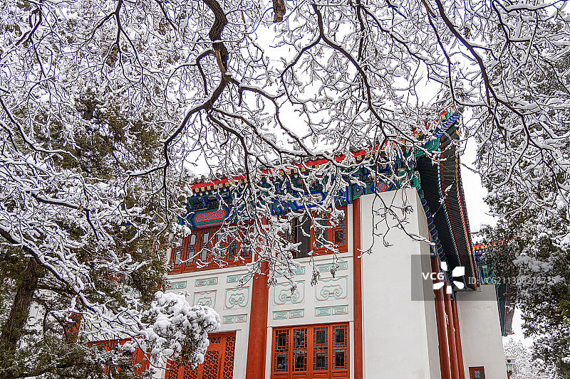 雪后的北京大学校长办公楼图片素材