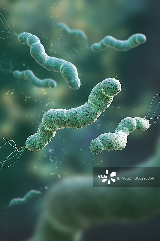 3D高清幽门螺杆菌插图图片素材