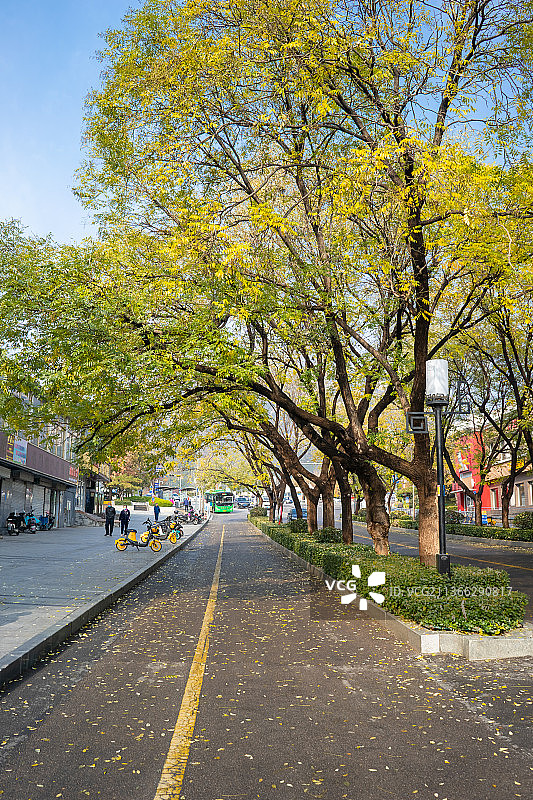 中国山东城市的道路图片素材