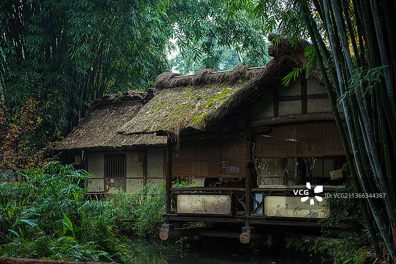 四川成都杜甫草堂景区中竹林掩映的茅草屋建筑图片素材