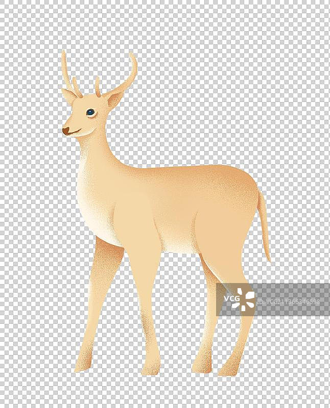 鹿元素图片素材