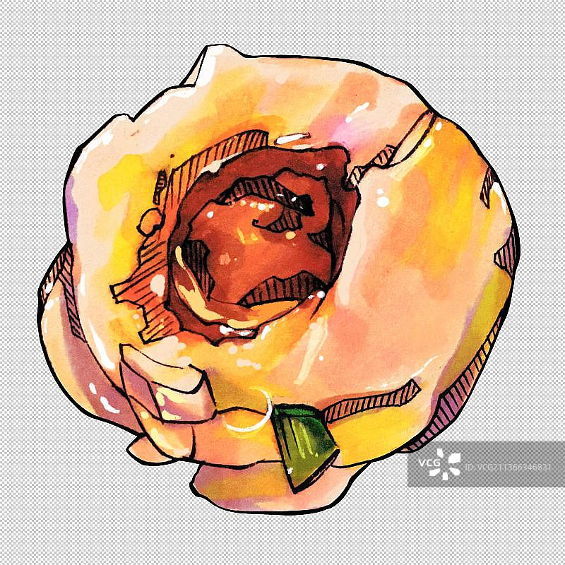 火锅料 肉丸鱼丸手打丸子美食食物餐饮菜单饮食图片素材