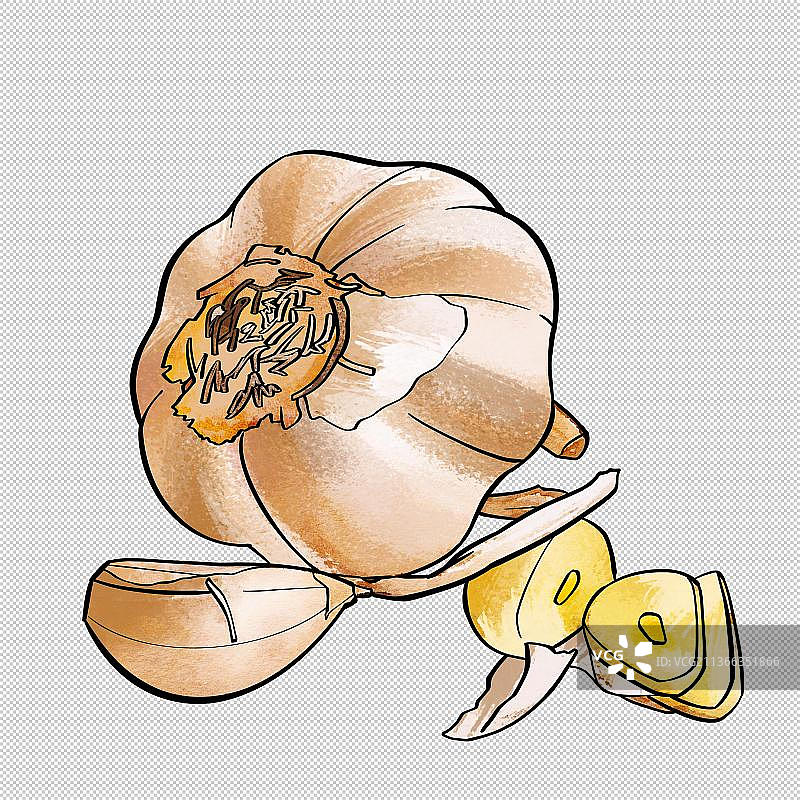 大蒜 调味 美食食物餐饮菜单饮食图片素材