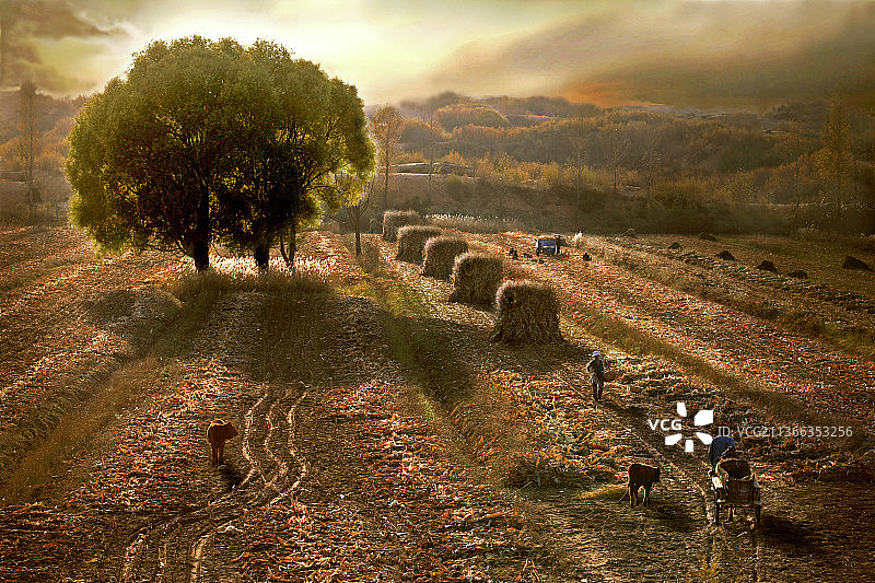 秋到毛乌素图片素材