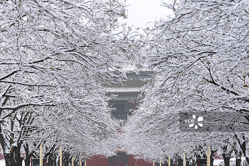 雪落紫禁城图片素材