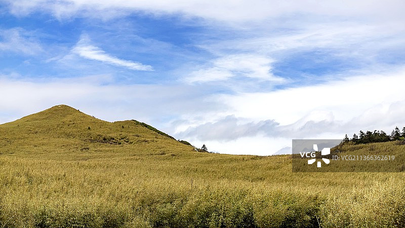 四月的神农架图片素材