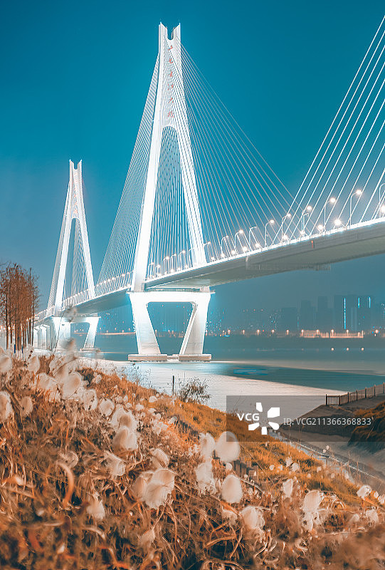 跨江大桥图片素材