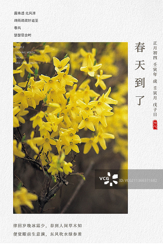 中国风传统立春春天海报设计模板图片素材