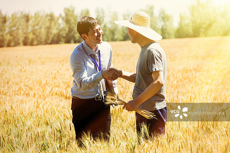 科研人员和农民在麦田里交流技术图片素材