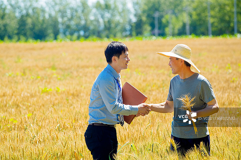 科研人员和农民在麦田里交流技术图片素材