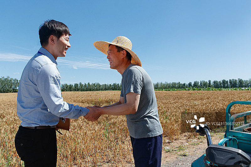 科研人员和农民在麦田里图片素材