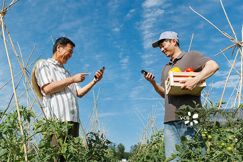 农民快递蔬菜图片素材