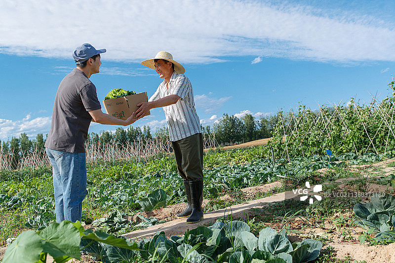 农民将蔬菜交给快递员图片素材