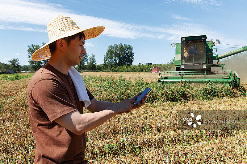 农民站在麦田里使用手机图片素材