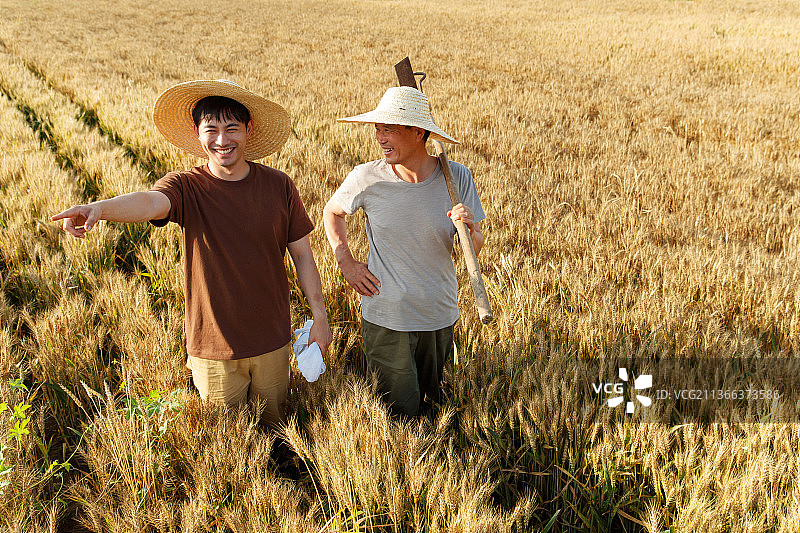 科研人员和农民在麦田里交流技术图片素材