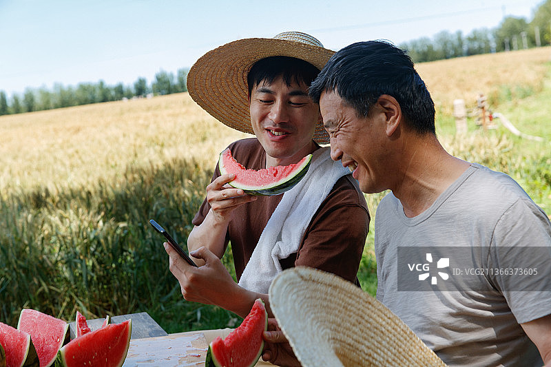 农民在田地旁休息吃西瓜图片素材