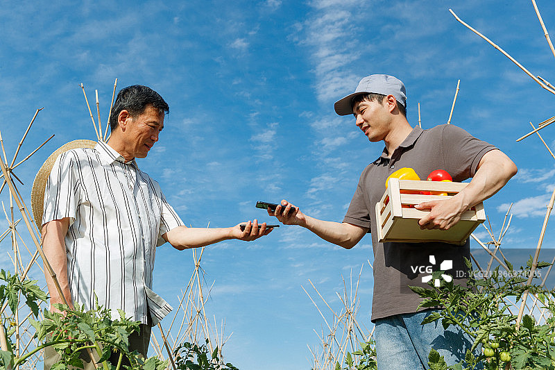 农民快递蔬菜图片素材