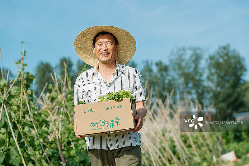 农民拿着一箱蔬菜图片素材
