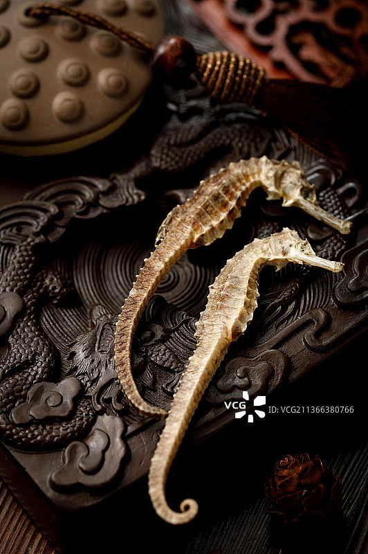 干货温肾补品海马干图片素材