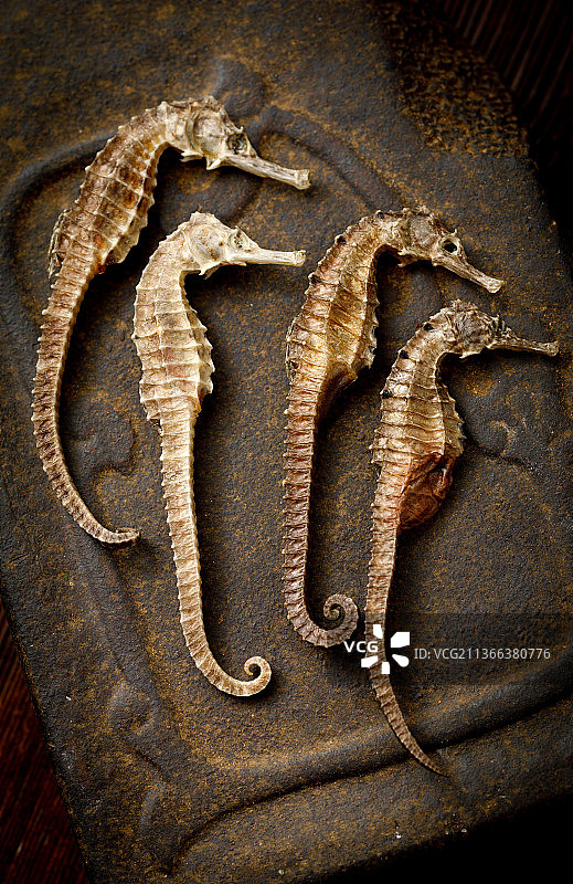 干货温肾补品海马干图片素材