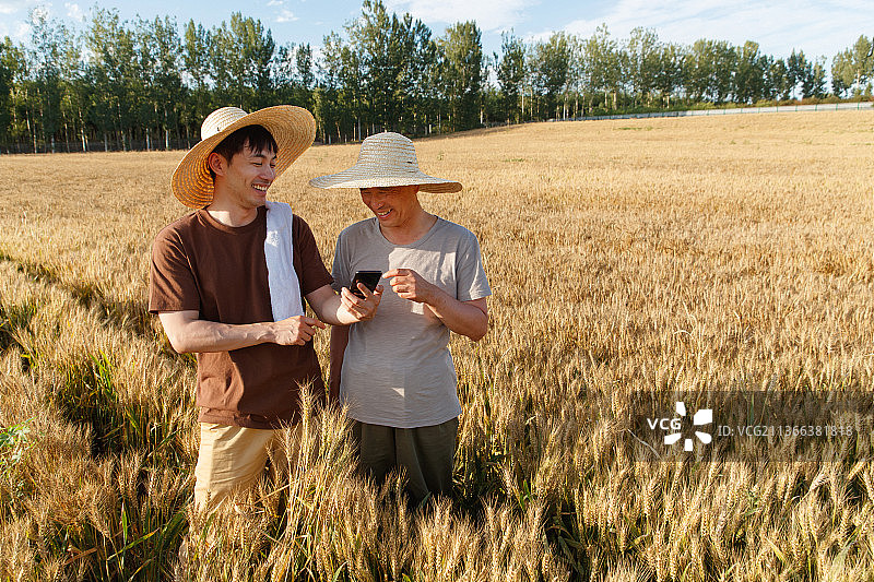 科研人员和农民在麦田里交流技术图片素材