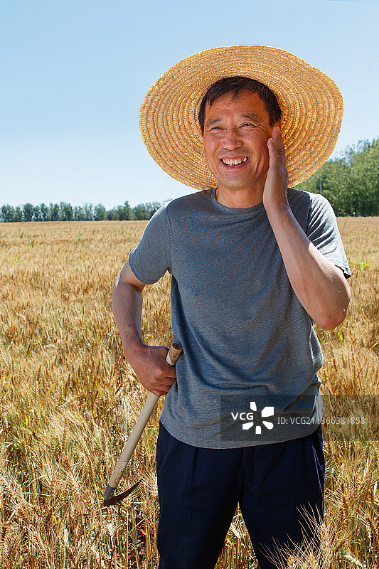 麦田里农民洋溢着丰收的喜悦图片素材