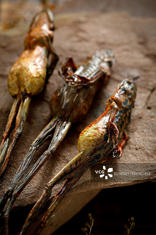 具有高营养的雪蛤图片素材