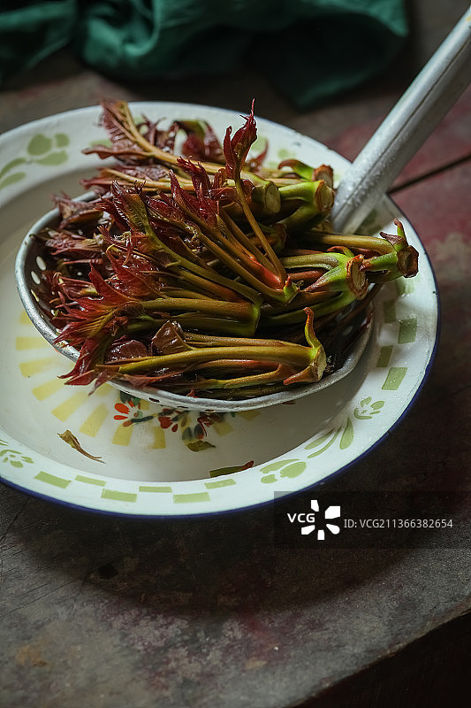 祛暑化湿的香椿图片素材