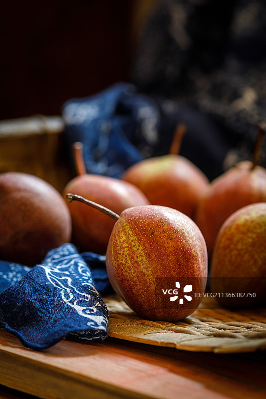 现摘的云南高原红梨图片素材