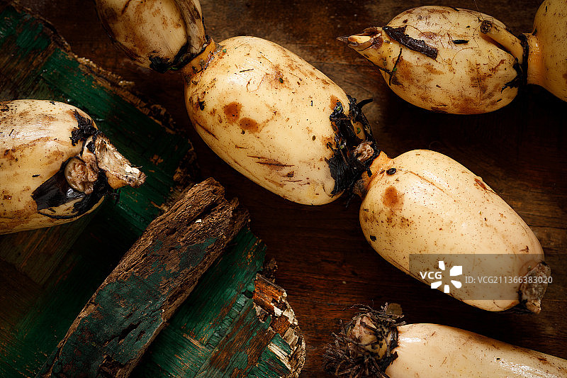 新鲜莲藕图片素材