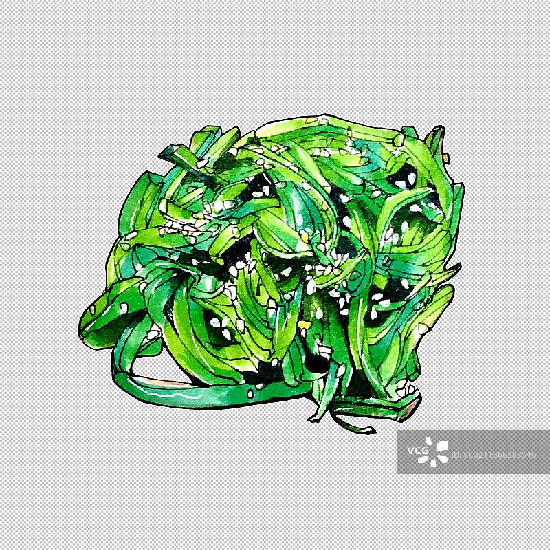 清新,植物,绿色,自然,海草,海藻,藻类,海带图片素材