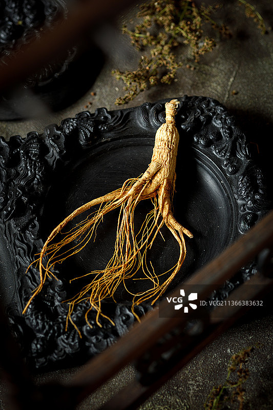 补气人参图片素材