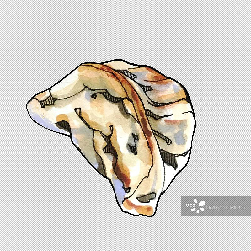 饺子,煎饺,蒸饺,芋饺,虾饺,扁食,馄饨 食物餐饮菜单饮食图片素材