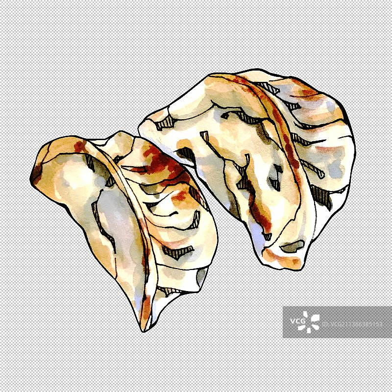 饺子,煎饺,蒸饺,芋饺,虾饺,扁食,馄饨 食物餐饮菜单饮食图片素材