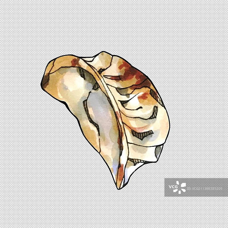 饺子,煎饺,蒸饺,芋饺,虾饺,扁食,馄饨 食物餐饮菜单饮食图片素材