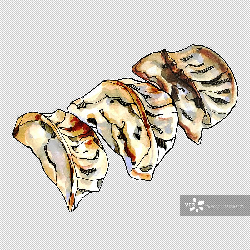 饺子,煎饺,蒸饺,芋饺,虾饺,扁食,馄饨 食物餐饮菜单饮食图片素材