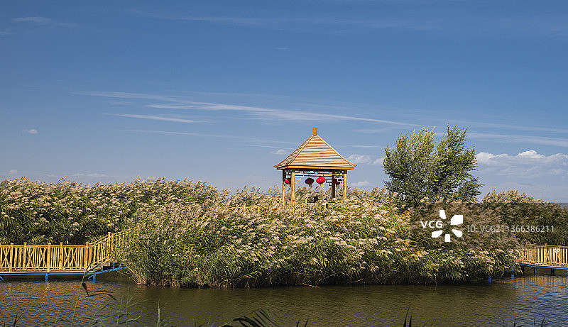 芦花映亭图片素材