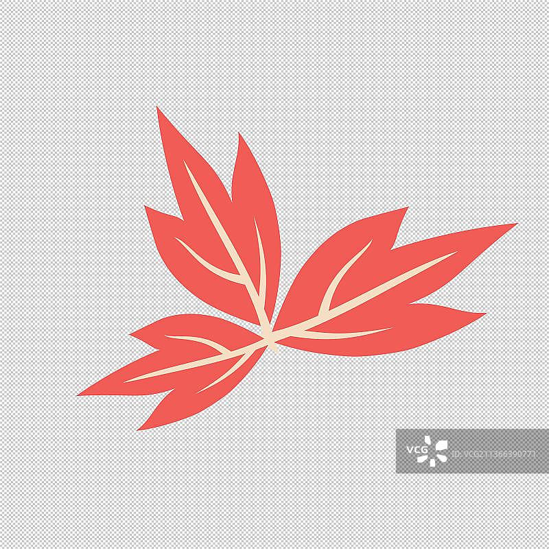 粉彩红色枫叶图片素材