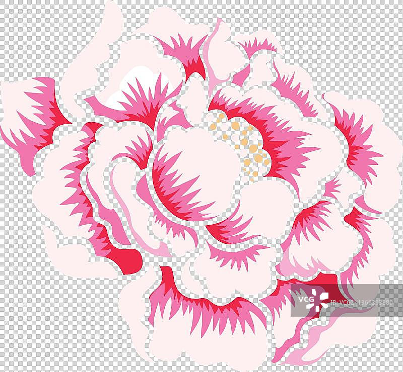 牡丹花朵图片素材