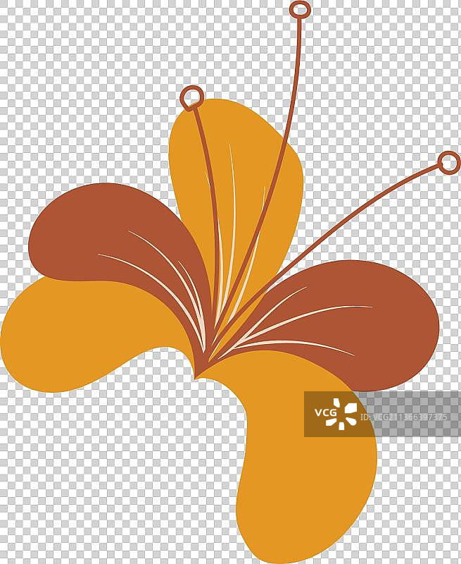 花瓣棕色图片素材