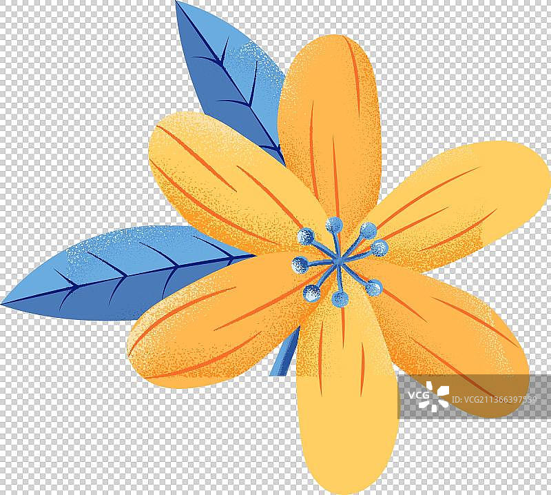 黄色的花图片素材